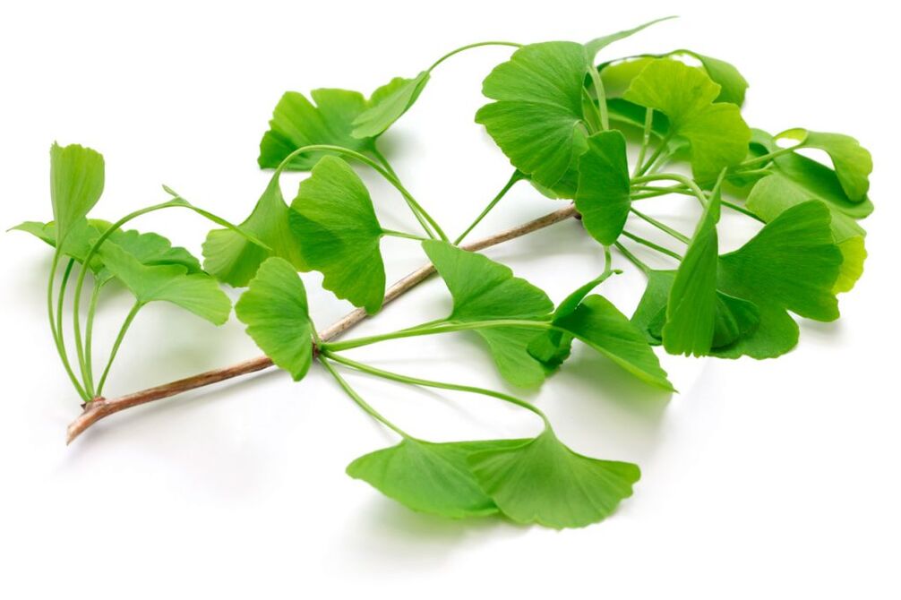 Ginkgo biloba en gélules Insuvit